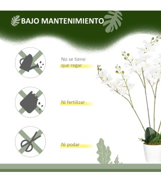 Phalaenopsis Artificiales