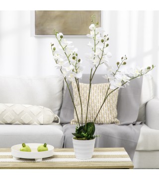 Phalaenopsis Artificiales
