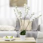 Phalaenopsis Artificiales Phalaenopsis Artificiales