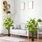 Plantas Artificiales Plantas Artificiales