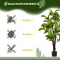 Plantas Artificiales Plantas Artificiales