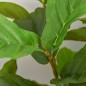 Plantas Artificiales Plantas Artificiales