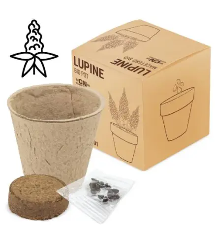 MACETA BIO CON SEMILLAS DE LUPINE