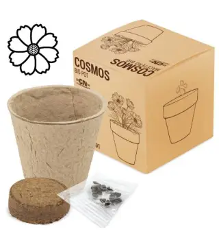 MACETA BIO CON SEMILLAS DE COSMOS
