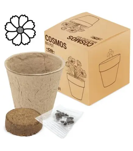 MACETA BIO CON SEMILLAS DE COSMOS