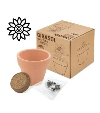 MACETA TERRACOTA CON SEMILLAS DE GIRASOL
