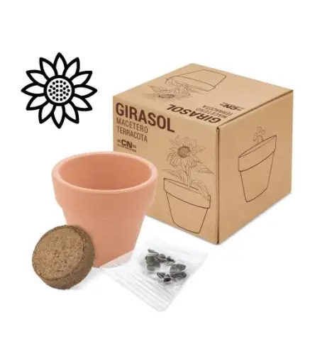 MACETA TERRACOTA CON SEMILLAS DE GIRASOL