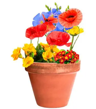 BOMBÓN DE SEMILLAS ECOLÓGICO