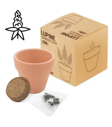 MACETA TERRACOTA CON SEMILLAS DE LUPINE