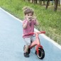 Bicicleta sin Pedales Bicicleta sin Pedales