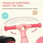 Bicicleta sin Pedales Bicicleta sin Pedales