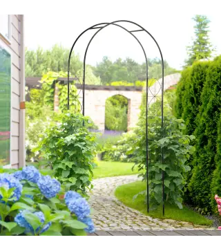 Arco de Jardín de Metal para Rosas y Plantas Trepadoras Arco de Soporte para Plantas y Decoraciones 114x30x230 cm Negro