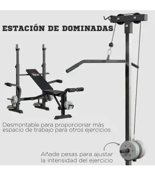 Banco de Pesas Multifuncional Ajustable para Entrenamiento de Cuerpo Entero 180x134x200 cm Plata y Negro
