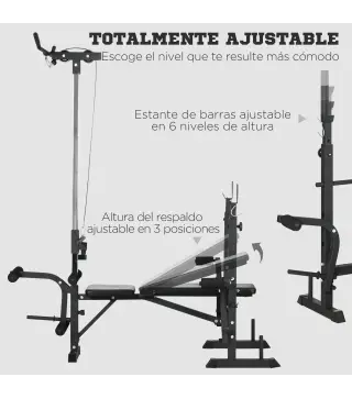 Banco de Pesas Multifuncional Ajustable para Entrenamiento de Cuerpo Entero 180x134x200 cm Plata y Negro