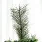 Árbol de Navidad Artificial de 180 cm con 618 Ramas Agujas de Pino y Base de Acero Ø70x180 cm Verde