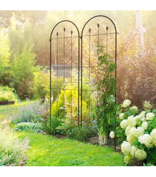Juego de 2 Enrejados de Jardín Soportes para Enredaderas de Acero para Flores Plantas en Patio 50x180 cm Negro