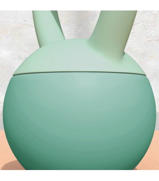 Kettlebell