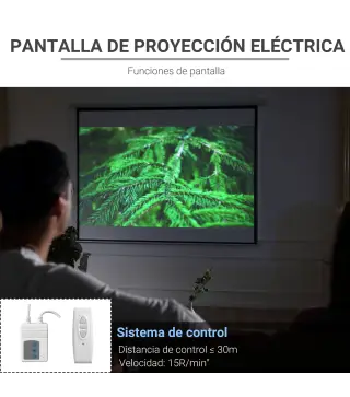 Pantalla de Proyector
