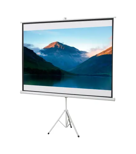 Pantalla de Proyector