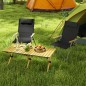 Sillas de Camping