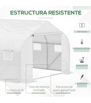 Conjunto de Invernadero