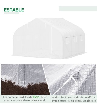 Conjunto de Invernadero
