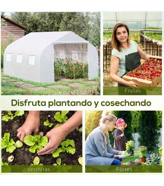 Conjunto de Invernadero
