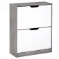 Mueble Zapatero Moderno con 2 Cajones Abatibles Estantes Ajustables para 8 Pares de Zapatos 62,5x26x81 cm Gris