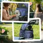 Carrito para Perros Pequeños con Ruedas Universales Cesta de Almacenaje Correas de Seguridad y Ventanas 67x45x96 cm Azul