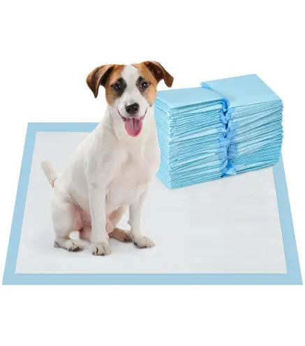 Empapadores para Perros