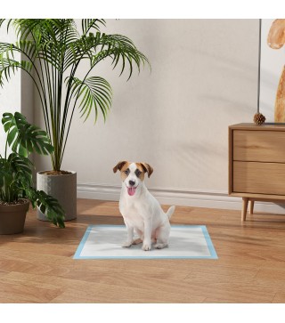 Empapadores para Perros