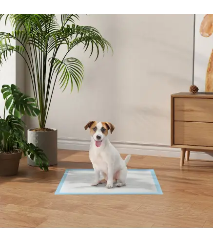 Empapadores para Perros 100 Unidad 45x60 cm Diseño de 6 Capas con Superficie de Secado Rápido a Prueba de Fugas Azul