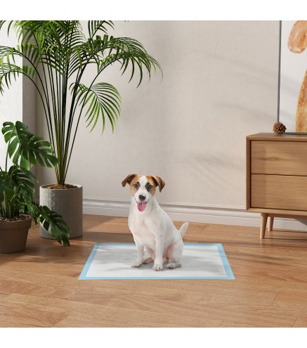 Empapadores para Perros