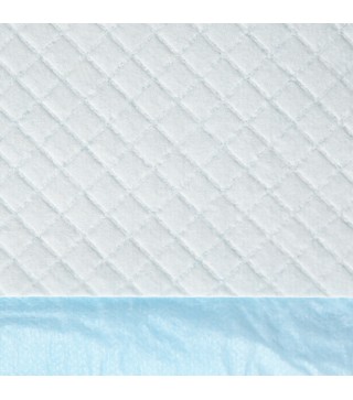 Empapadores para Perros