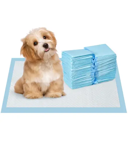 Empapadores para Perros