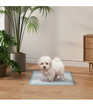 Empapadores para Perros 100 Unidad 45x30 cm Diseño de 6 Capas con Superficie de Secado Rápido a Prueba de Fugas Azul