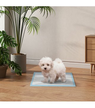 Empapadores para Perros