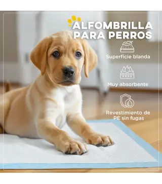 Empapadores para Perros