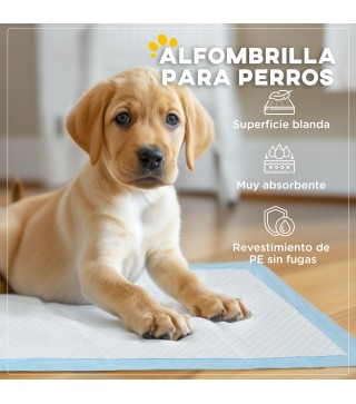 Empapadores para Perros