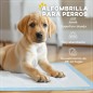 Empapadores para Perros