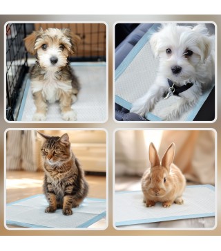 Empapadores para Perros