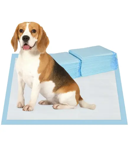 Empapadores para Perros