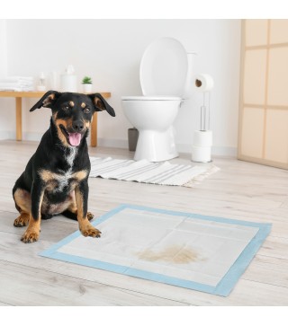 Empapadores para Perros