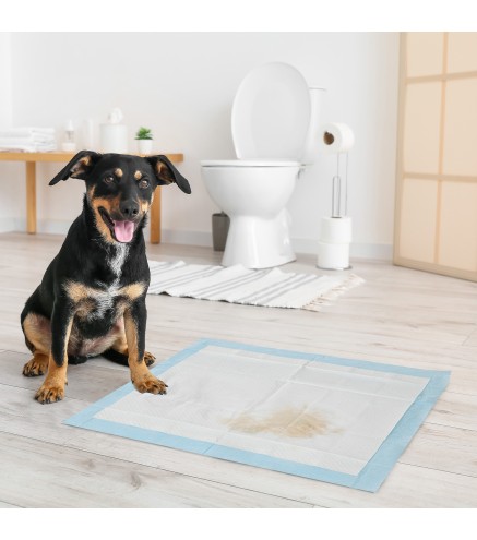 Empapadores para Perros
