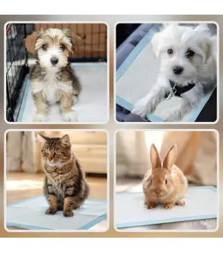 Empapadores para Perros