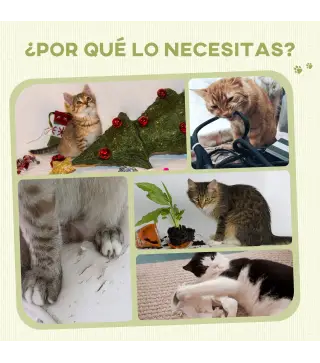 Rascador para Gatos