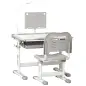 Juego de Escritorio y Silla para Niños de +6 Años Ajustable con Mesa Inclinable Lámpara Cajón y Estante para Libros Gris
