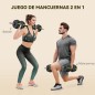 Kit de Mancuernas