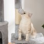 Árbol para Gatos
