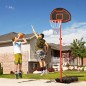 Canasta de Baloncesto Canasta de Baloncesto